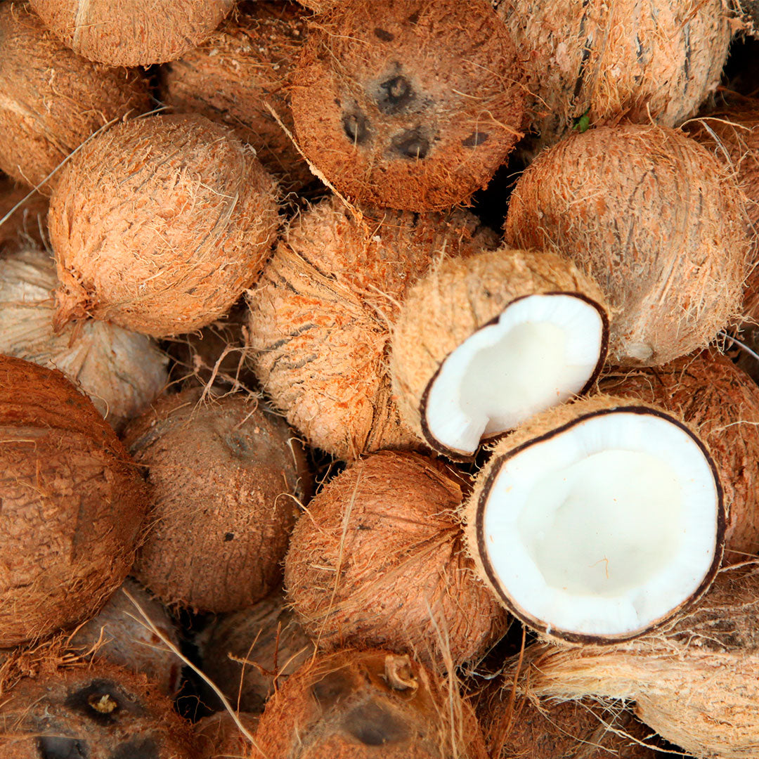 Envase de plástico reciclado del Gel de Ducha Cremoso de Coco con dosificador reciclable